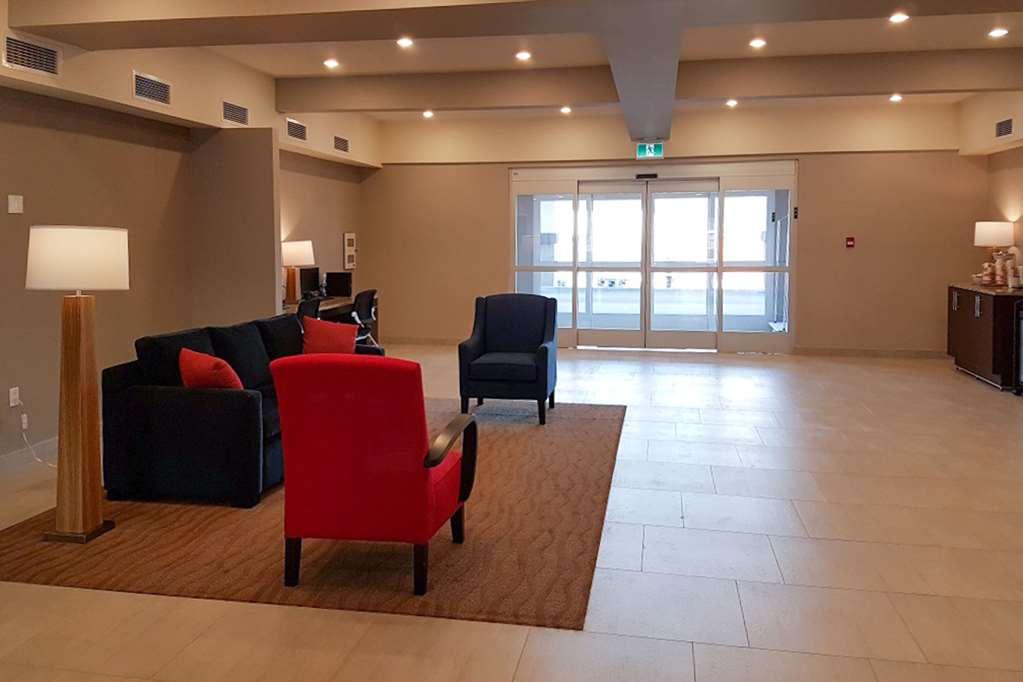 Comfort & 4* Terrace